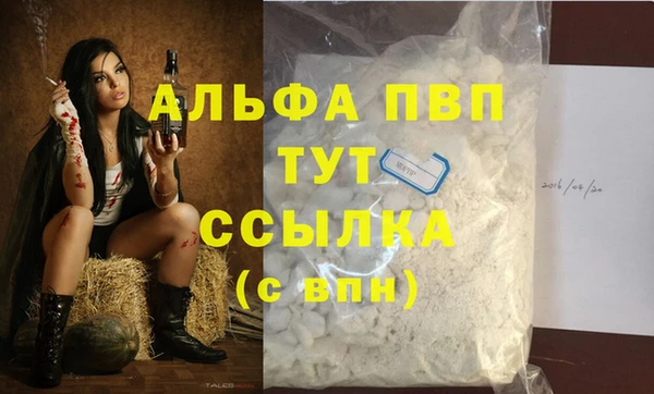 стафф Краснослободск