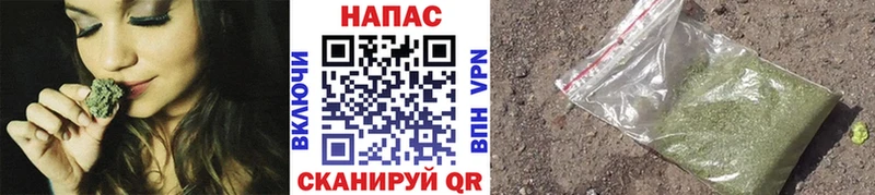 Купить  Курильск  Каннабис план 